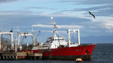 El INIDEP evalúa la merluza de cola a bordo del buque pesquero ECHIZEN MARU