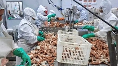 Se concretó desde San Julián la primera exportación a Estados Unidos de centolla para consumo directo