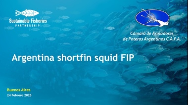 Se realizó reunión técnica en el marco del Programa de Mejora del calamar argentino