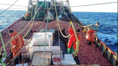 Temporada histórica de pesca de langostino en Chubut