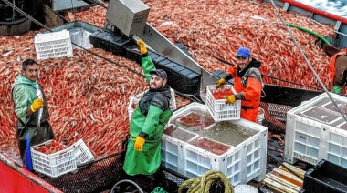 Temporada histórica de pesca de langostino en Chubut