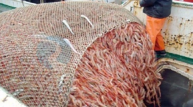 A raíz del mal tiempo la prospección de langostino quedó fijada para el 22 de mayo