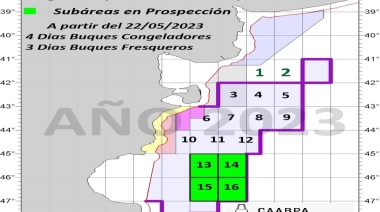20 buques participarán de la prospección de langostino