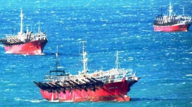 Ante la aparición de ejemplares juveniles suspenden por 21 día la pesca de calamar al norte del paralelo 44º