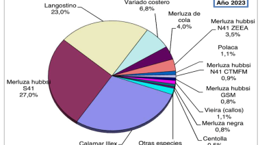 No sólo Deseado sufre la caía de los desembarques de calamar