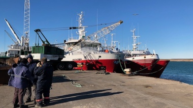 Senasa suspende operaciones de carga y consolidado por el puerto deseadense