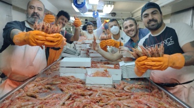 Excelentes capturas en las tres áreas donde se realiza la prospección de langostino