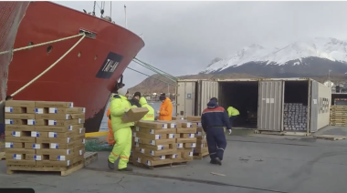 El curioso caso de un barco fanático de la merluza austral 