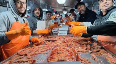 El lunes 31 de julio se inicia una nueva prospección de langostino en aguas nacionales