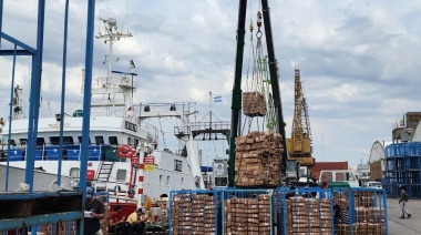 Por costos de la estiba buque “Carolina P” no descargó en Madryn y optó por otro puerto