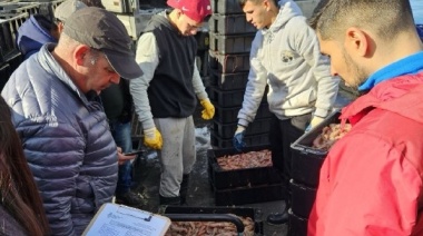 La Dirección Nacional de Coordinación y Fiscalización Pesquera recibe el apoyo de la FAO para reforzar el control y fiscalización