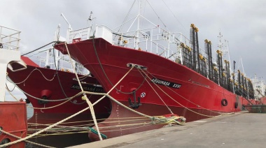 Anuncian la llegada de los primeros poteros por el puerto Deseadense