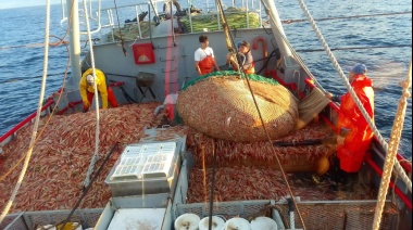 La primera semana de abril se inicia la pesca de langostino al norte