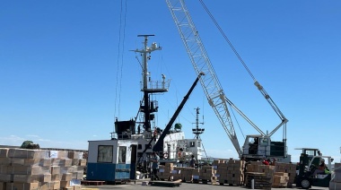 Desconsuelo absoluto en las delegaciones de Pesca Nación por la ola de despidos 