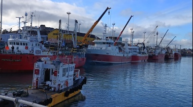 Crecieron las descargas de langostino por el puerto deseadense