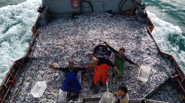 Captura récord de anchoíta en Chubut