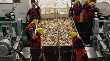 Nueva evaluación invernal de corvina rubia en el área del Río de la Plata y la Zona Común de Pesca Argentino-Uruguaya