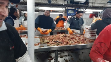 Las capturas de langostino se incrementaron un 46 por ciento respecto al mismo periodo de 2023 