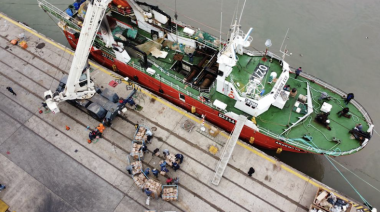 Puerto Frío impulsa el crecimiento de las descargas pesqueras en Bahía Blanca