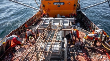 El SOMU y CAFACH llegaron a un acuerdo y se inicia la temporada de langostino en Rawson