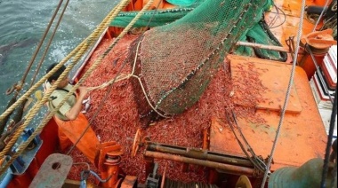 Chubut suspende la pesca de langostino en zonas clave por una semana