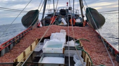 Santa Cruz confirmó la prospección de langostino en el golfo San Jorge