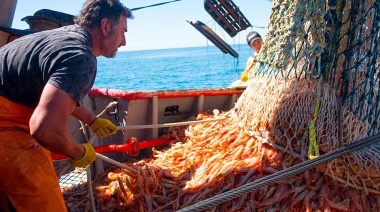 Santa Cruz inicia la prospección de langostino en el Golfo San Jorge y avanza en la negociación para asegurar la descarga 30 mil toneladas en Deseado