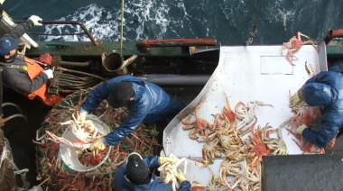 Autorizan aumento en el cupo de captura de centolla para el buque Chiyo Maru Nº3