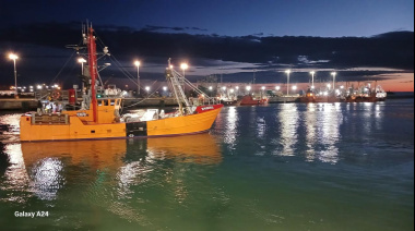 El inicio de la temporada de langostino en Rawson aún no tiene fecha definida