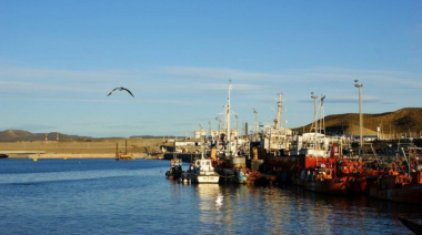 Refuerzan controles para evitar la salida ilegal de merluza entera fuera de la provincia