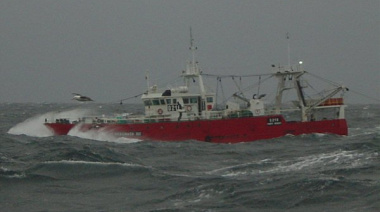 Prohíben el despacho de nuevos buques tangoneros a la pesca