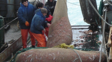 El Consejo Federal Pesquero podría aprobar hoy el pedido de apertura de una nueva zona para la pesca del langostino 
