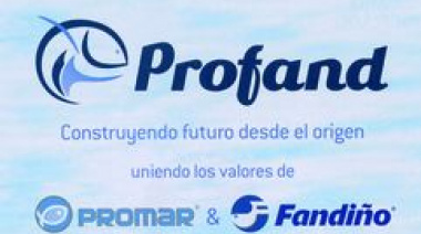 Pesquera Deseado cambió de accionistas y aseguran que no ha habrá despidos