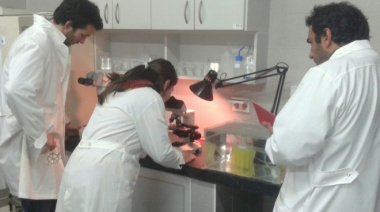 Producción de alimento vivo en la Estación de Maricultura