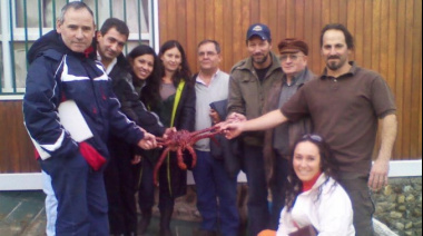 Preocupación por la 