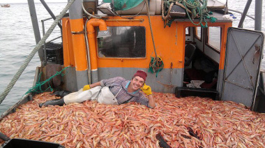 Autorizan prospección del langostino para buques de la flota menor de Rawson