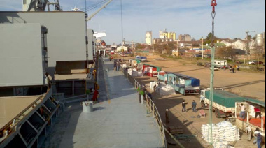 Descargaron 400 toneladas de calamar en el Puerto de Concepción del Uruguay