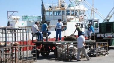 Argentina certifica la captura legal de todas las especies cuotificadas