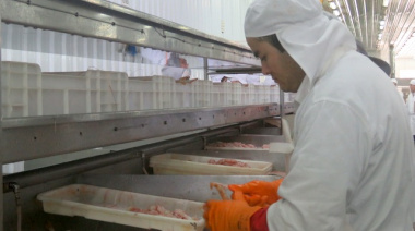 Vieira Argentina se afianza en el procesamiento de langostino fresco