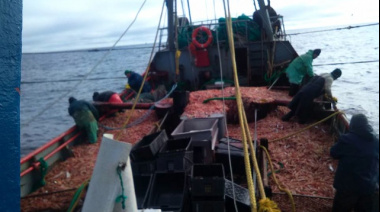 Langostino: el 1 de noviembre se prohibiría el despacho de buques a la pesca