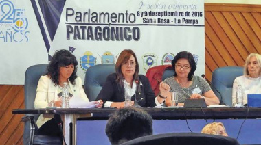 El Parlamento Patagónico en alerta y movilización ante la posible quita de los reembolsos