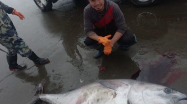 Pescadores de Río Gallegos capturan un atún de 250 kilos