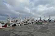 Langostino: Cámaras pesqueras logran acuerdo con el Somu y se destraba la salida de la flota tangonera