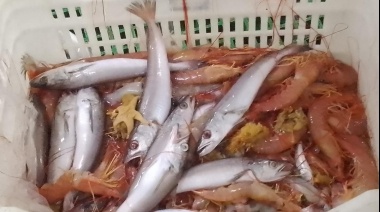 Langostino: Hoy cierran dos subáreas