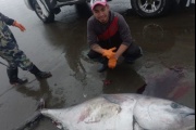 Pescadores de Río Gallegos capturan un atún de 250 kilos