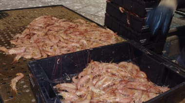 Arranca una nueva prospección de langostino en aguas nacionales