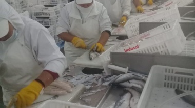 Plantas pesqueras de Deseado apuestan al procesamiento de merluza fresca