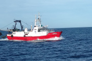 Captura de langostino en aguas nacionales: cierran las Subáreas 12, 14 y 15