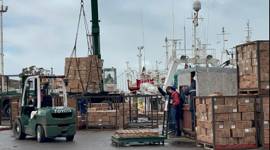 Masivo ingreso de buques reactiva la actividad en el puerto deseadense