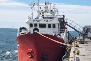 Solo un buque confirmó su participación en la prospección de langostino